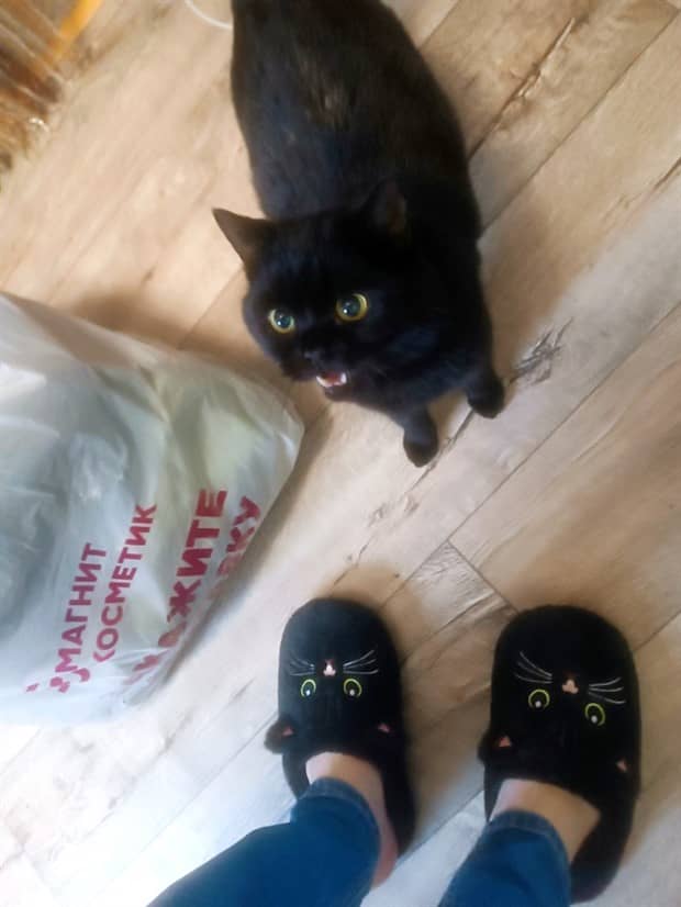 Bilderparade DCCCXCIII BP893_75 