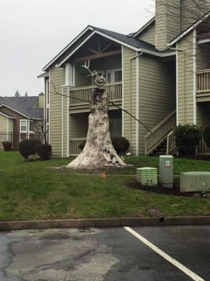 Bilderparade DCCCXCIII BP893_86 