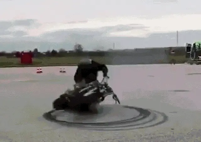 GIFparade CLXI GP161_04 