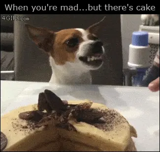 GIFparade CLXI GP161_20 