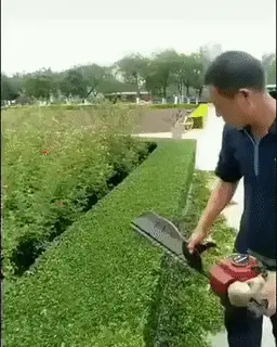 GIFparade CLXI GP161_25 