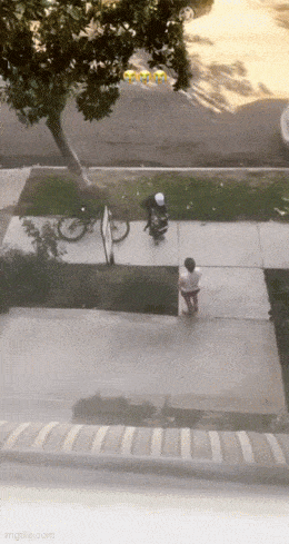 GIFparade CLXI GP161_30 