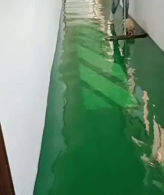 GIFparade CLXI GP161_33 