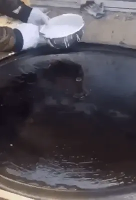 GIFparade CLXI GP161_34 