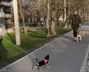 GIFparade CLXI GP161_38 