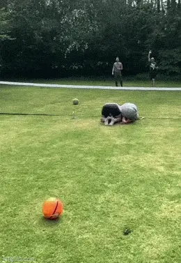 GIFparade CLXII GP162_01 