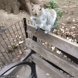 GIFparade CLXII GP162_04 