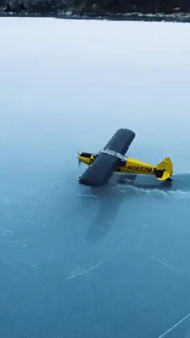 GIFparade CLXII GP162_10 