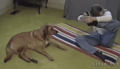 GIFparade CLXII GP162_11 