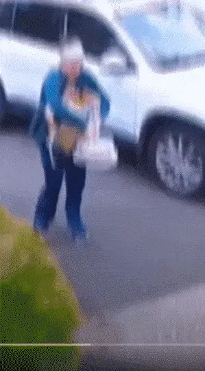 GIFparade CLXII GP162_24 