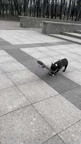 GIFparade CLXII GP162_25 