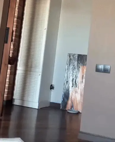 GIFparade CLXII GP162_29 