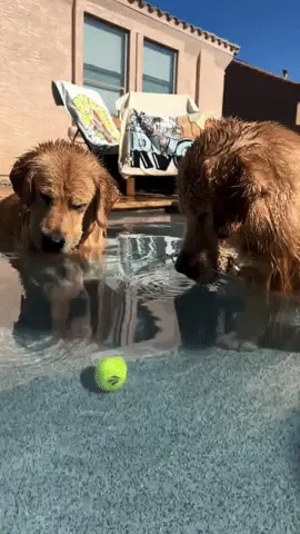 GIFparade CLXII GP162_30 