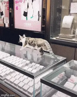 GIFparade CLXII GP162_31 