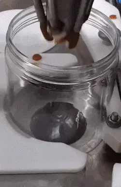 GIFparade CLXII GP162_40 