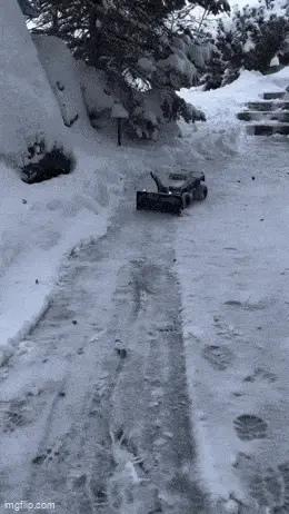 GIFparade CLXII GP162_41 