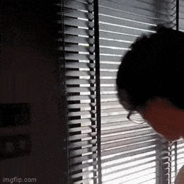 GIFparade CLXII GP162_42 