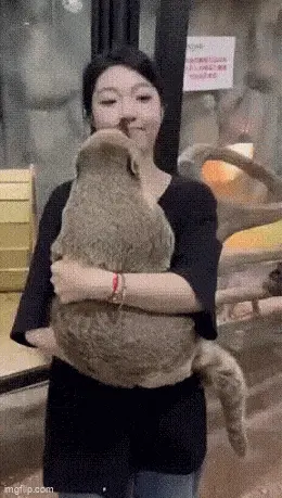 GIFparade CLXII GP162_43 