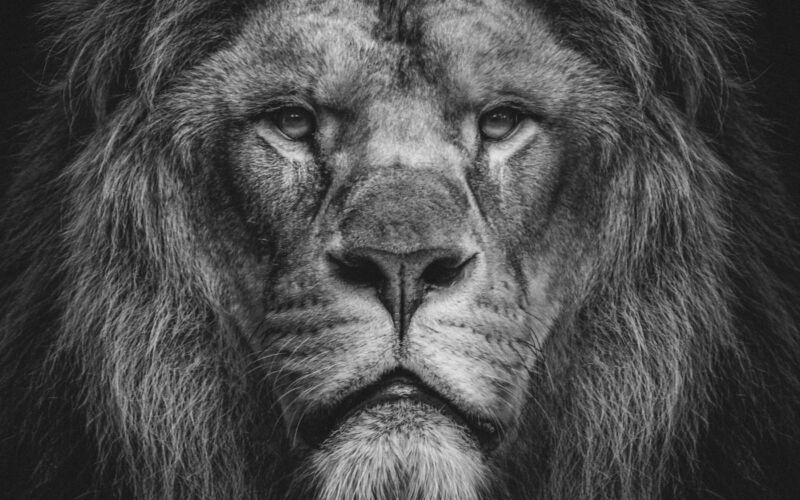 Best of Unsplash: Dezember 2025