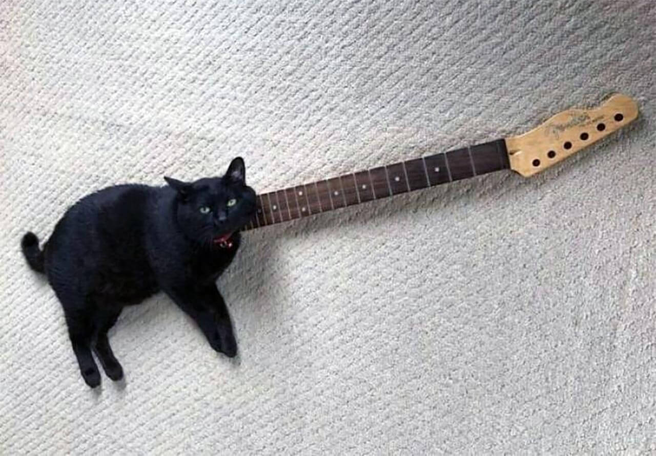 Bilderparade DCCCXCIV BP894_01 