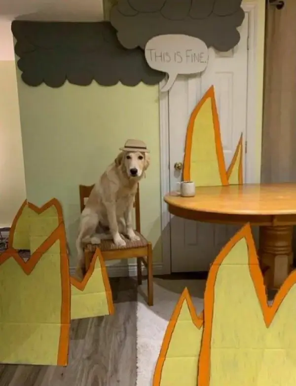 Bilderparade DCCCXCIV BP894_16 