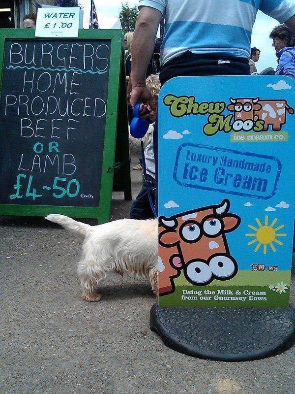 Bilderparade DCCCXCIV BP894_41 