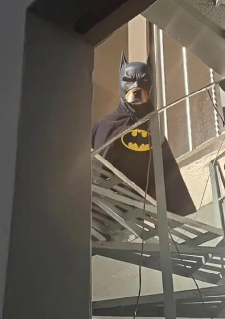 Bilderparade DCCCXCIV BP894_44 