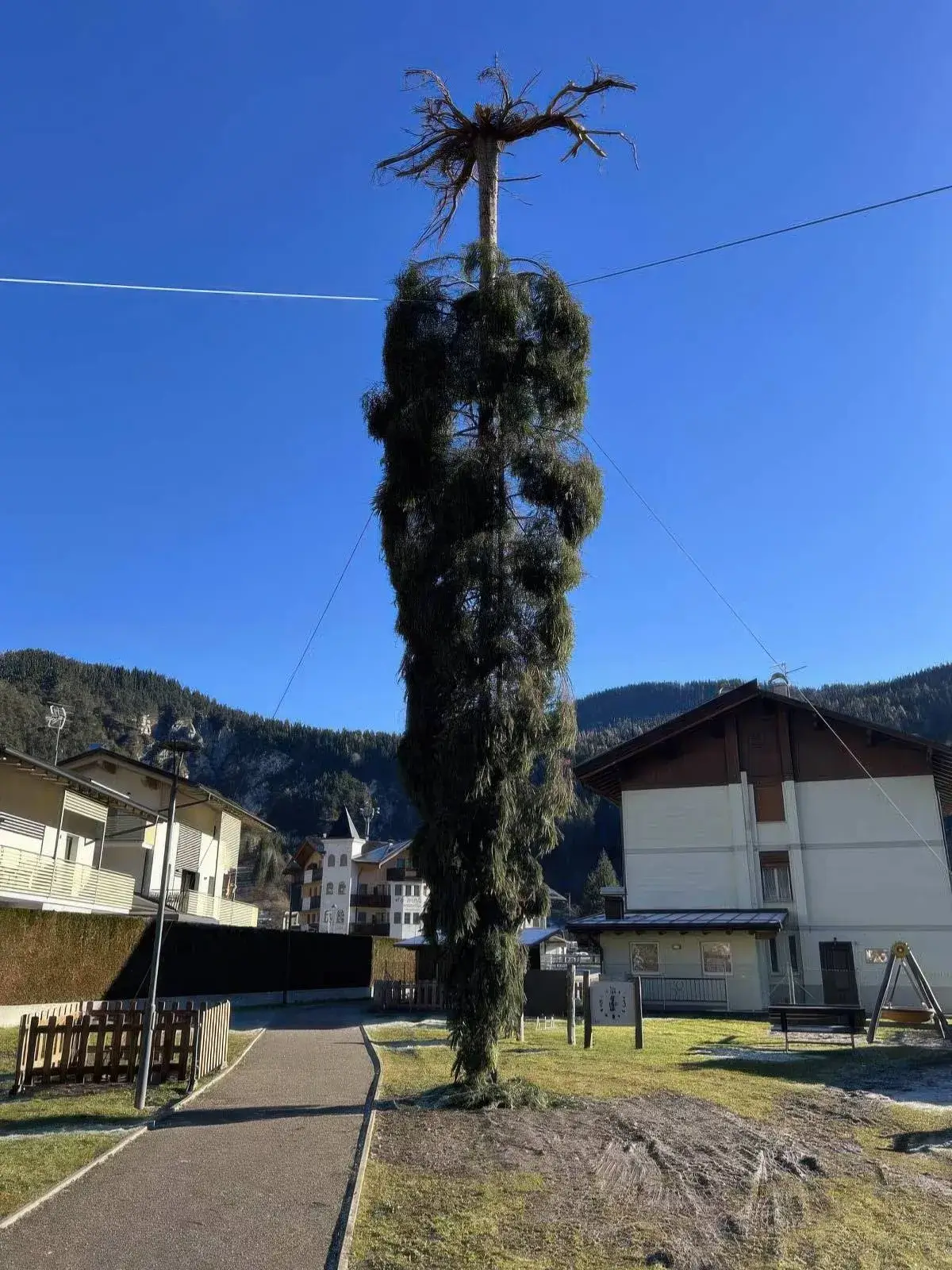 Bilderparade DCCCXCIV BP894_52 