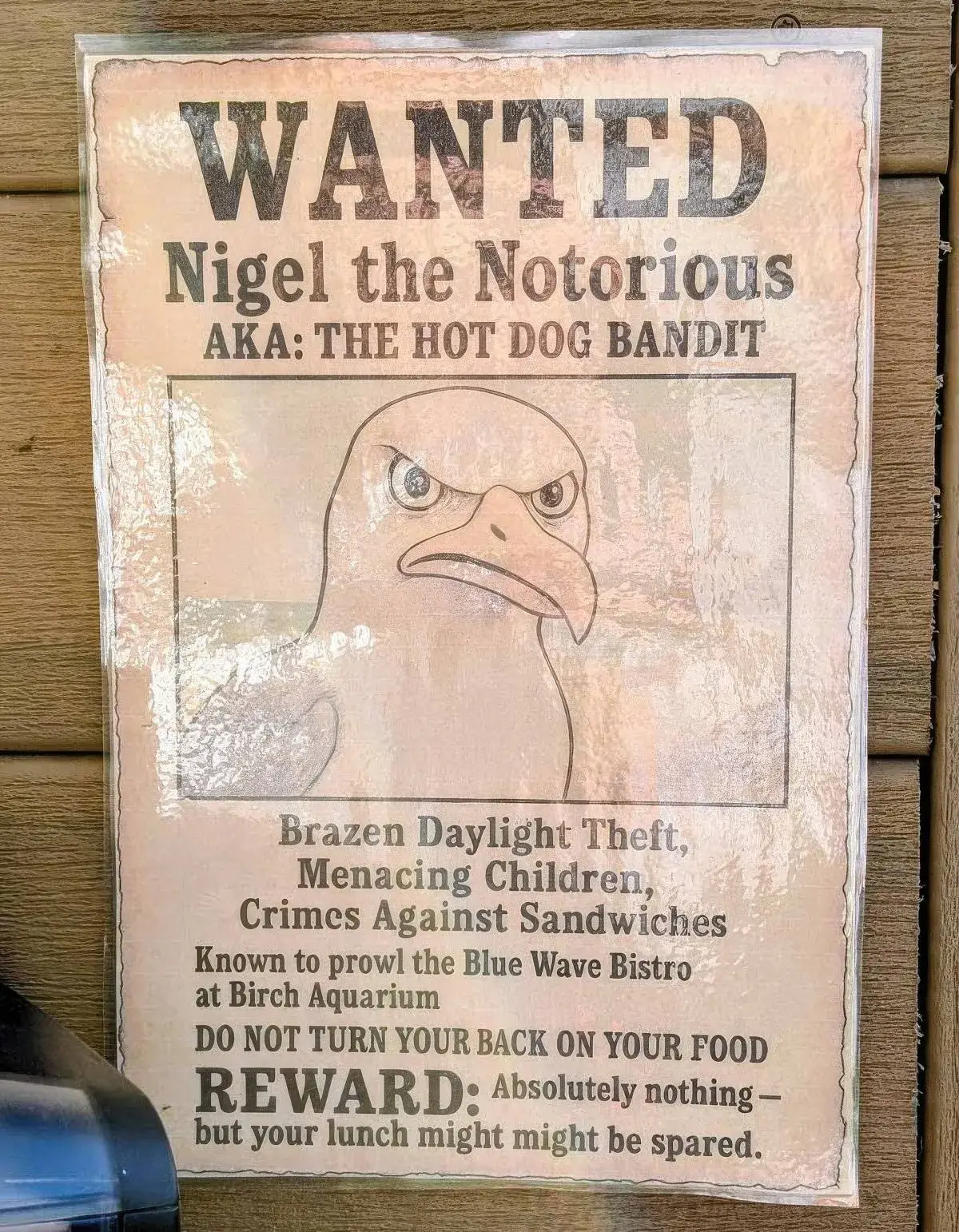 Bilderparade DCCCXCIV BP894_53 