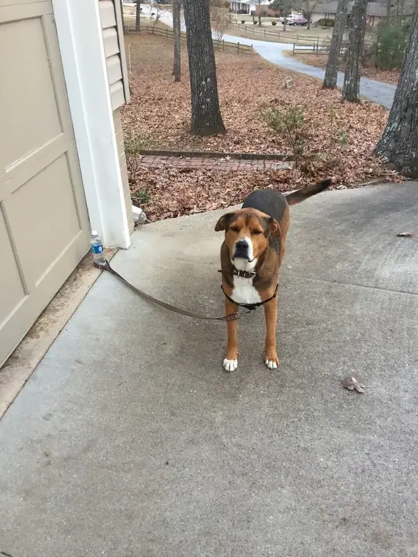 Bilderparade DCCCXCIV BP894_68 