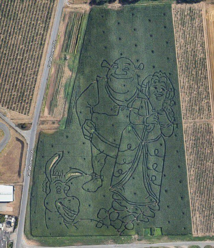 Bilderparade DCCCXCIV BP894_86 