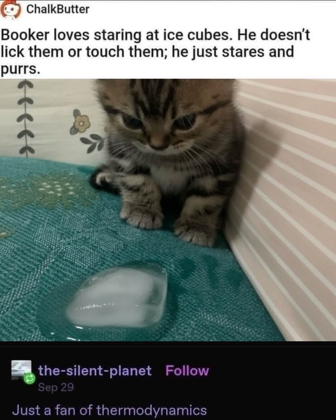 Bilderparade DCCCXCIV BP894_89 