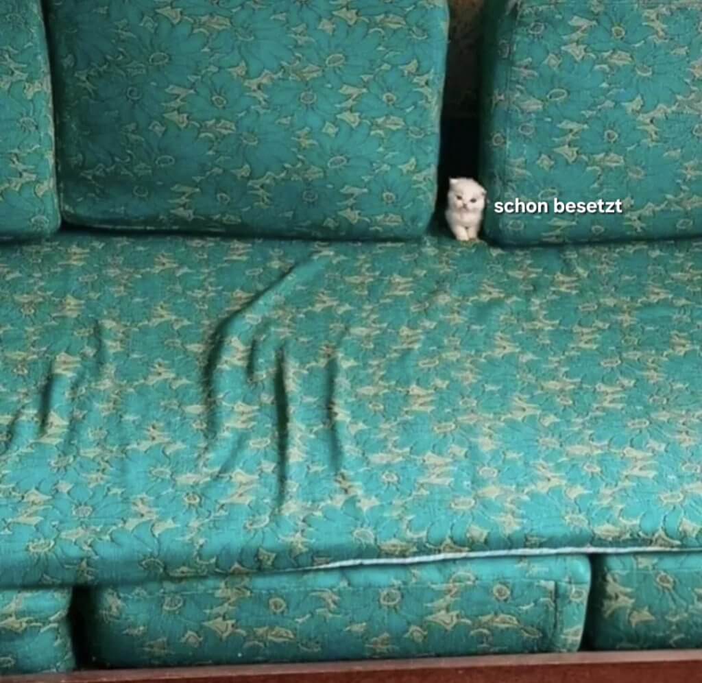 Bilderparade DCCCXCV BP895_02 