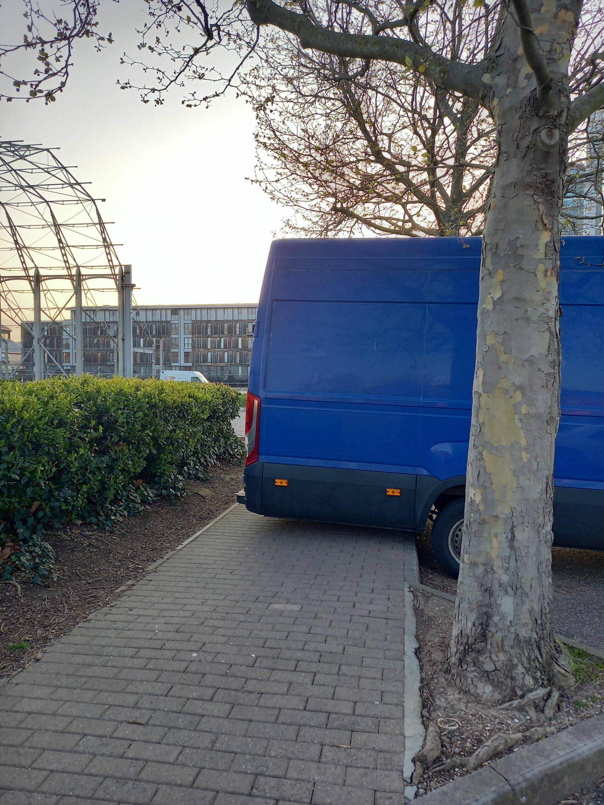 Bilderparade DCCCXCV BP895_11 