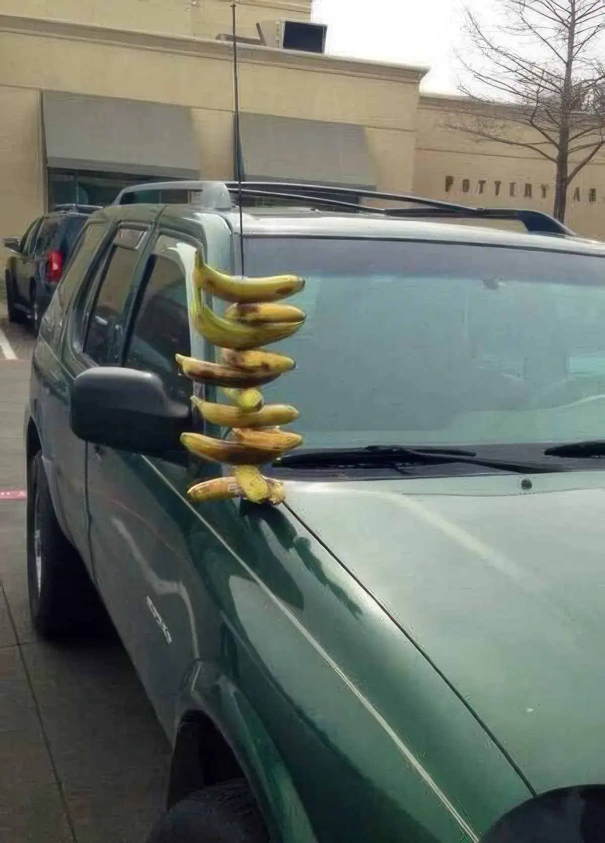 Bilderparade DCCCXCV BP895_43 