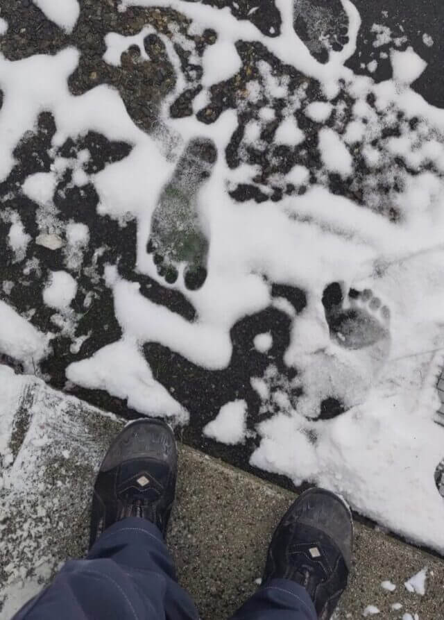 Bilderparade DCCCXCV BP895_51 