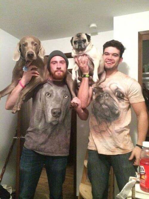 Bilderparade DCCCXCV BP895_68 