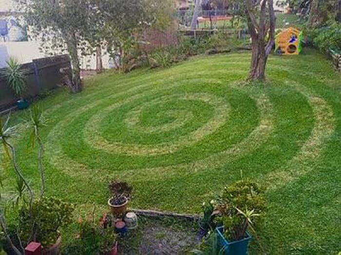 Bilderparade DCCCXCV BP895_69 