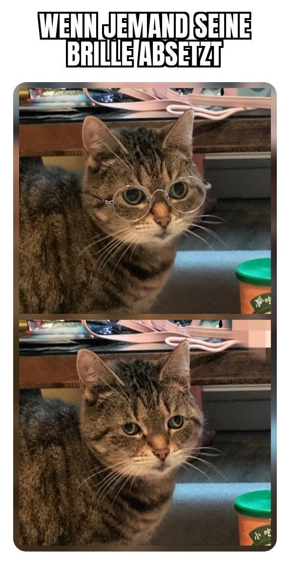 Bilderparade DCCCXCV BP895_94 