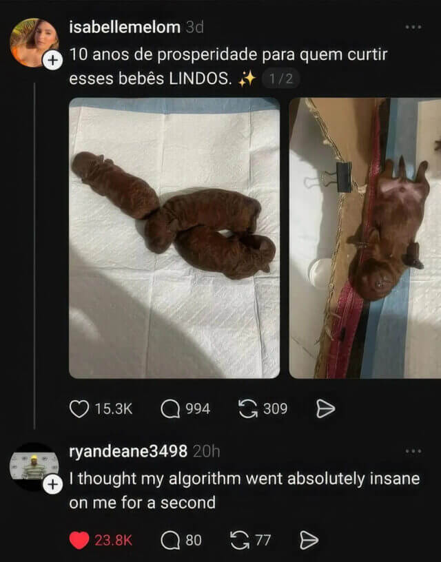 Bilderparade DCCCXCV BP895_98 