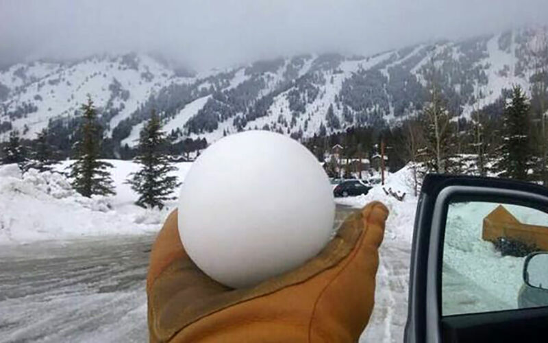 Bilderparade DCCCXCVI