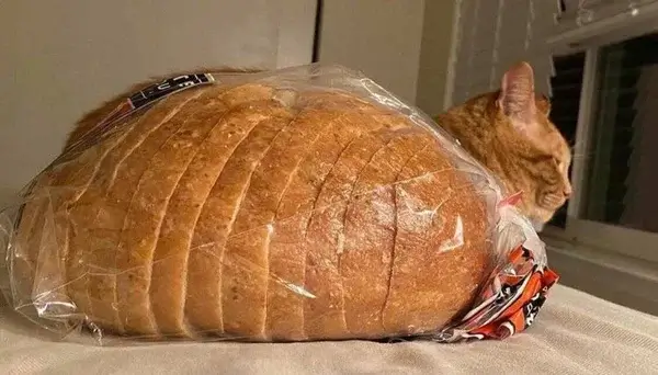 Bilderparade DCCCXCVI BP896_18 