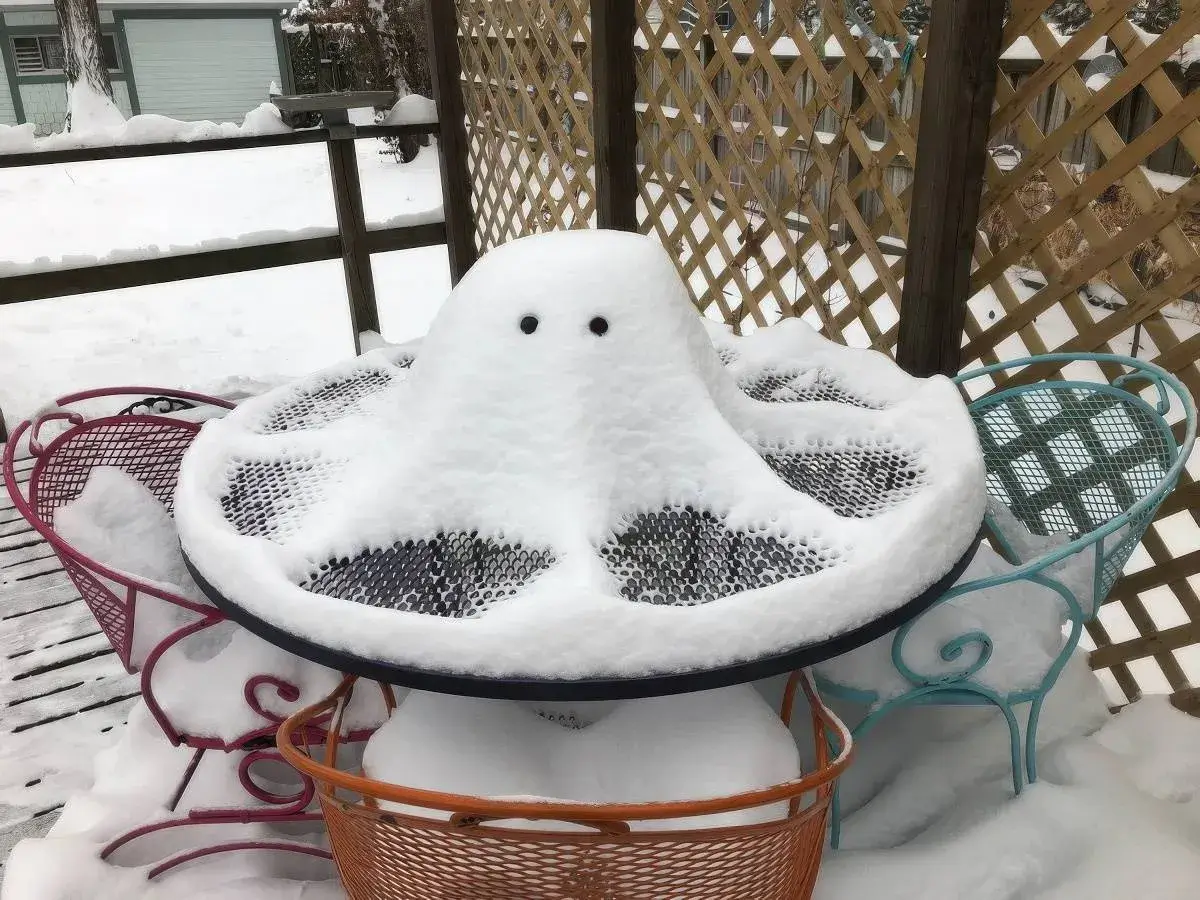 Bilderparade DCCCXCVI BP896_34 