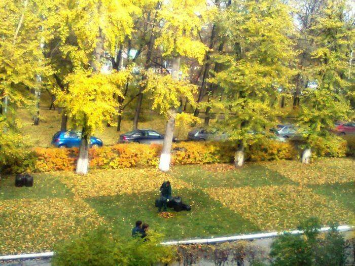 Bilderparade DCCCXCVI BP896_44 