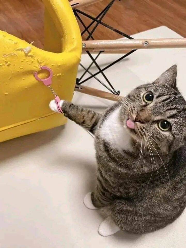 Bilderparade DCCCXCVI BP896_49 