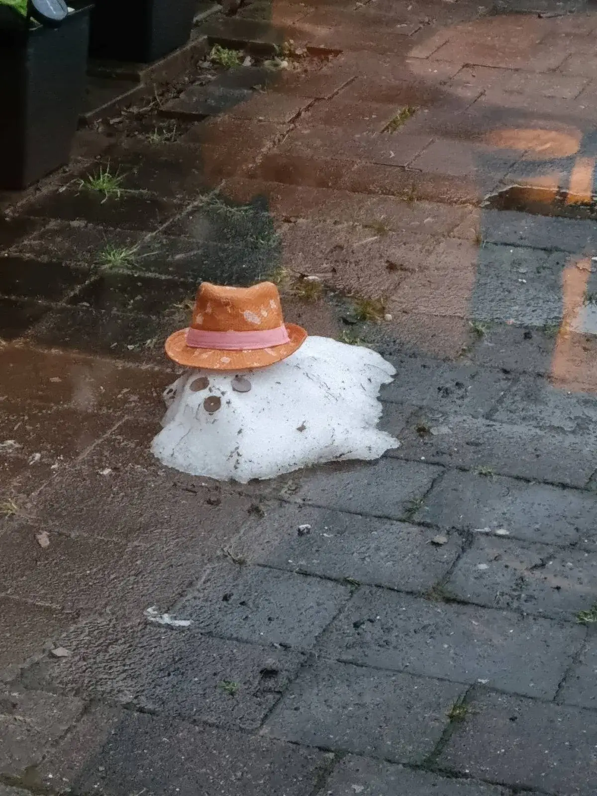 Bilderparade DCCCXCVI BP896_52 