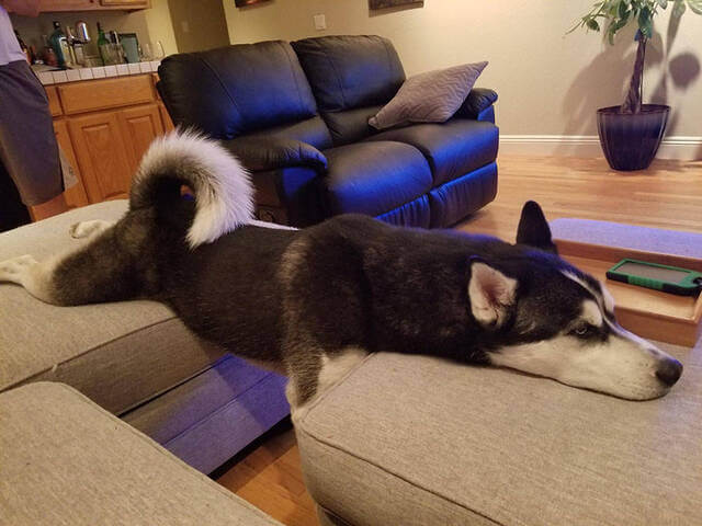 Bilderparade DCCCXCVI BP896_66 