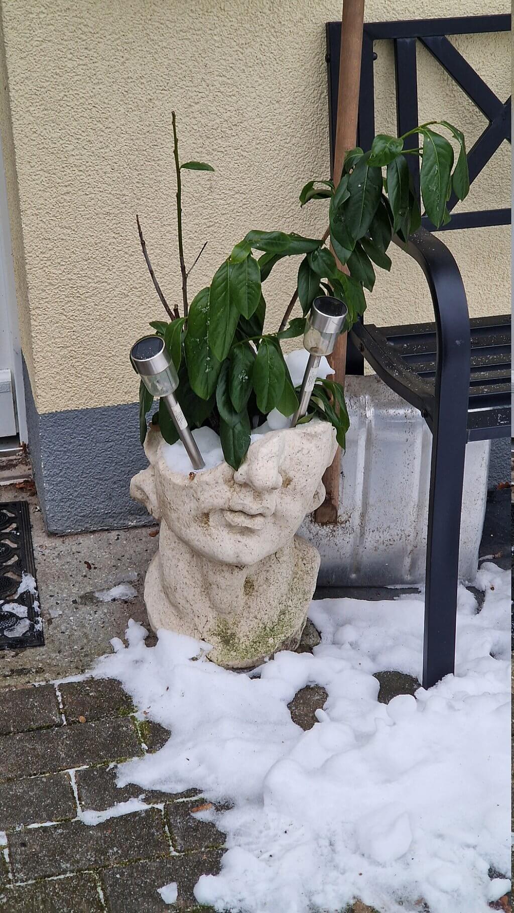 Bilderparade DCCCXCVI BP896_98 