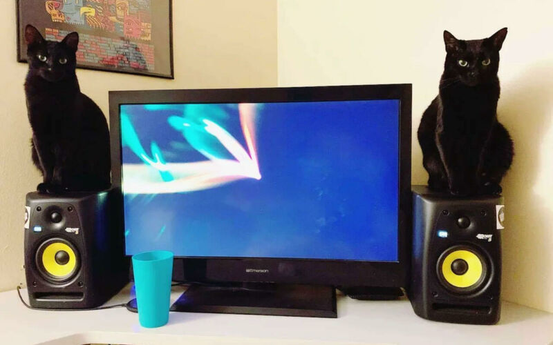 Bilderparade DCCCXCVII