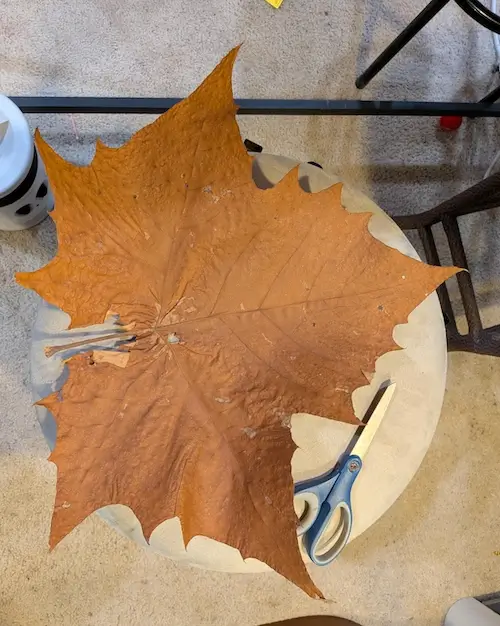 Bilderparade DCCCXCVII BP897_18